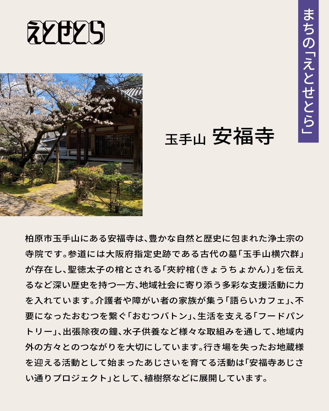 えとせとら フライヤー 5
